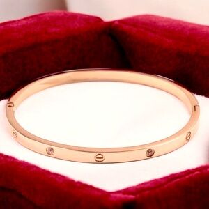 Rose Gold Plated Thin Bangle Bracelet with Stones Thin Version Stainless Steel